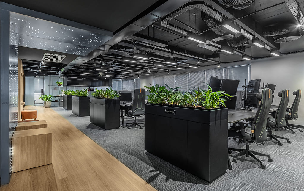 Organização Escritório